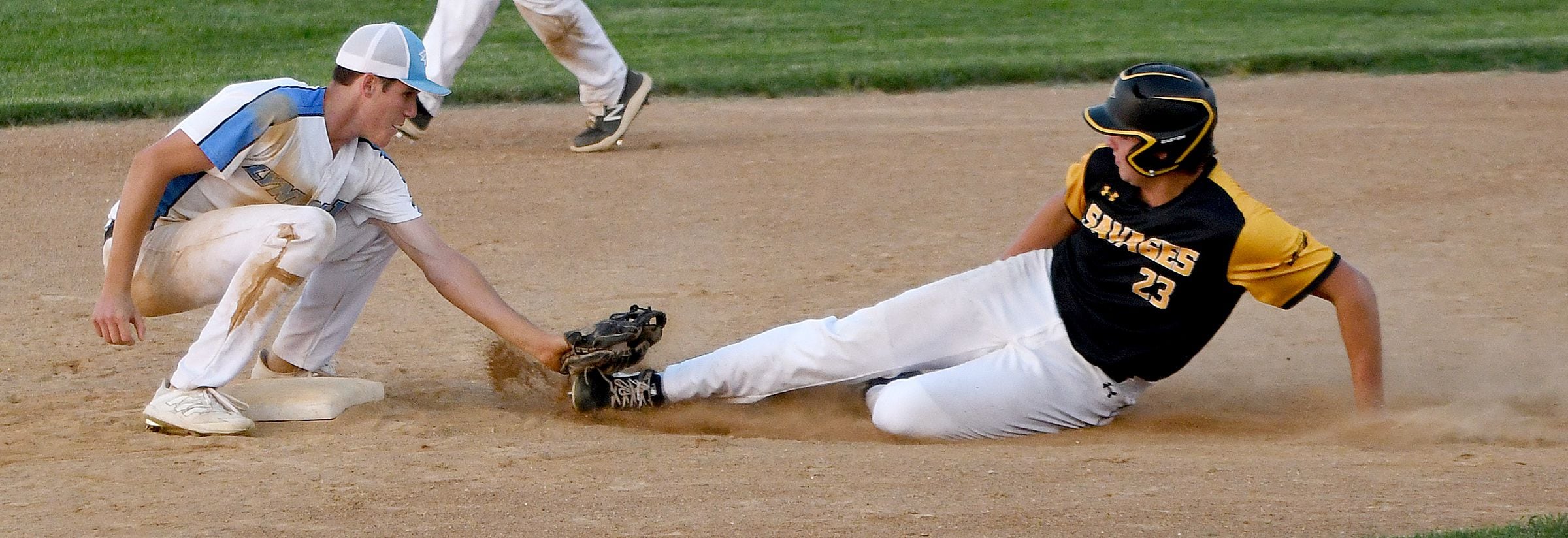 Baseball  Sauk Valley News - Shaw Local