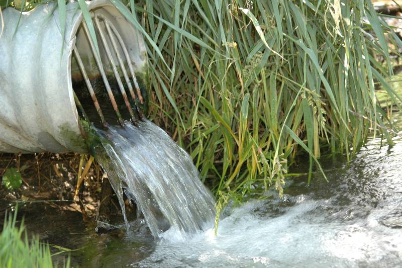 This tile outlet is shown flowing into a stream.