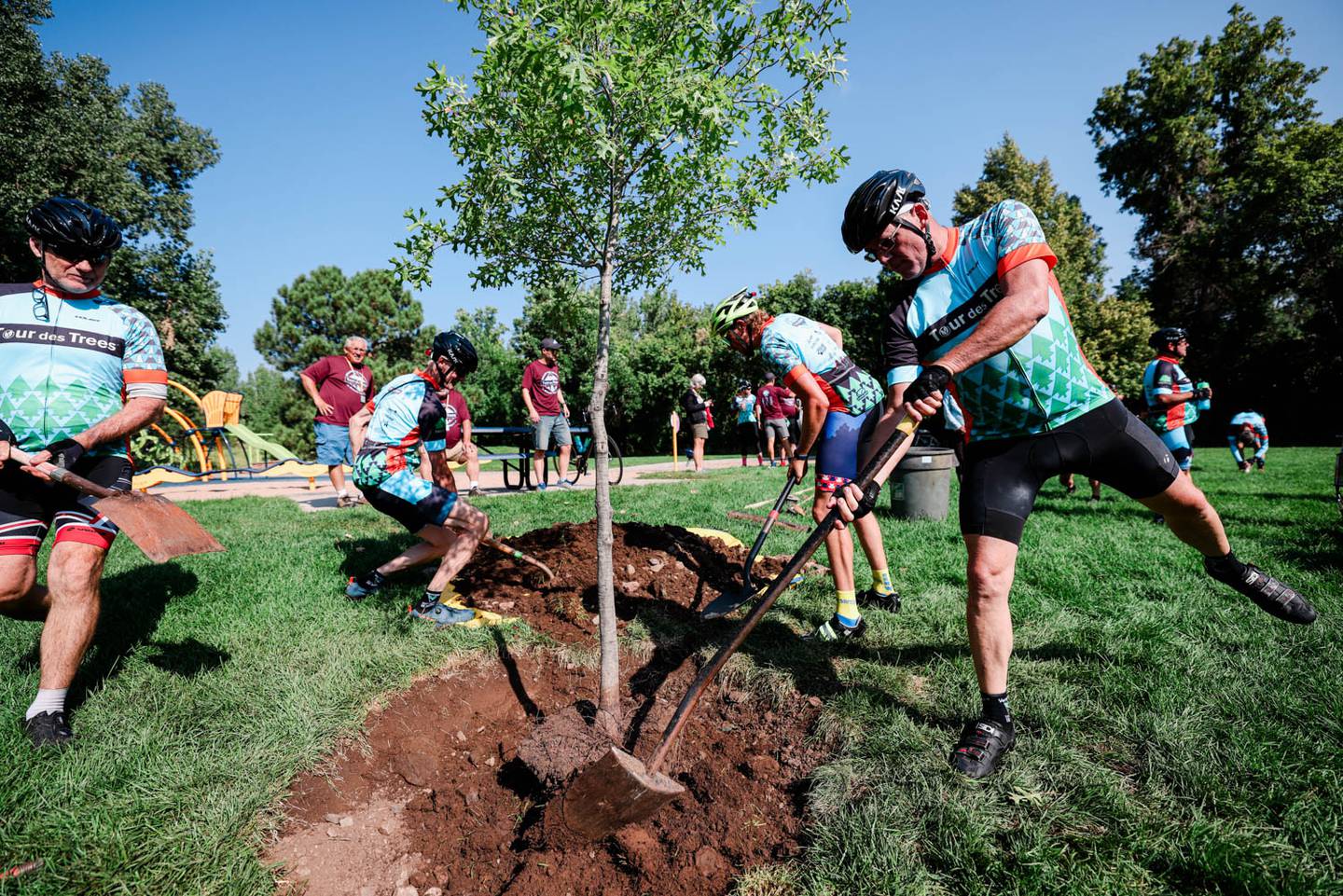 Cyclists participating in the TREE Fund's Tour des Trees will make a one-hour stop in Newton at 10 a.m. Sept. 5 at the Newton Arboretum & Botanical Gardens.