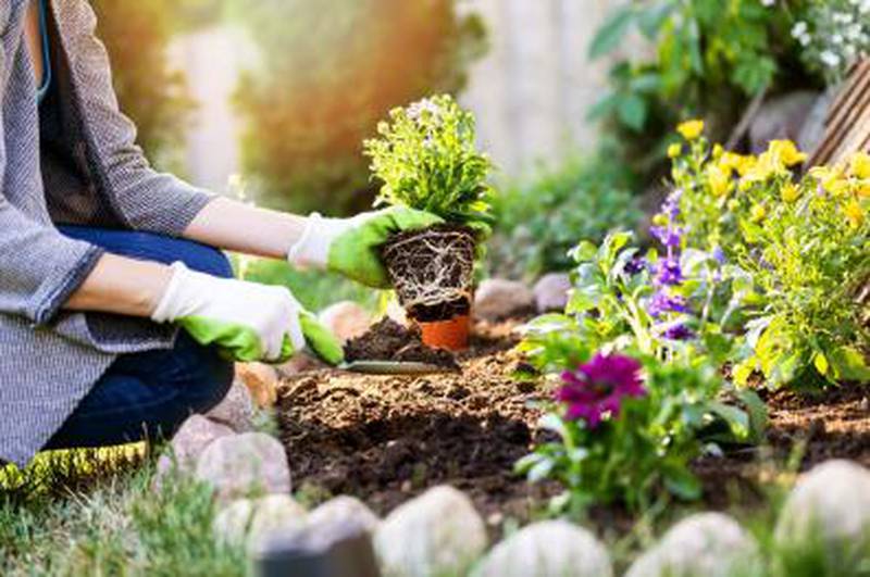 Each Friday segment features a different gardening topic, with a conversation between host Charity Nebbe and a horticulture expert — mostly from ISU Extension and Outreach.