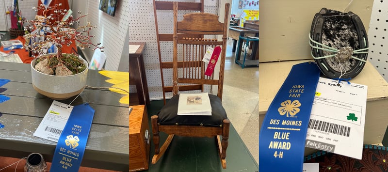 4-H members for across Jasper County have projects displayed at the 4-H building at the Iowa State Fair.