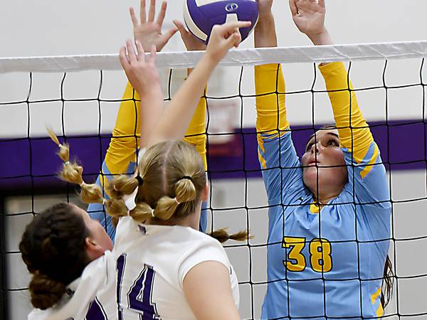 L-S volleyball uses trio of runs to sweep Baxter