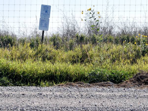 Federal funding used for road stabilization around Neal Smith Wildlife Refuge